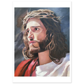 b425d61d-a4a6-4dd3-ad23-04c8c5bcea1f